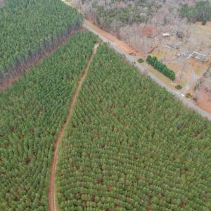 Photo #29 of Perkins Mill Rd, Dillwyn, VA 164.0 acres