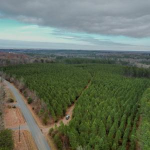 Photo #3 of Perkins Mill Rd, Dillwyn, VA 164.0 acres