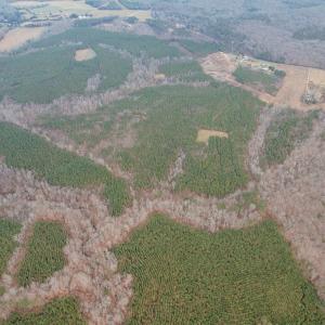 Photo #31 of Perkins Mill Rd, Dillwyn, VA 164.0 acres