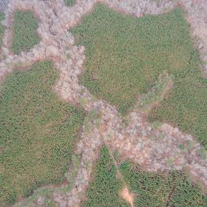 Photo #32 of Perkins Mill Rd, Dillwyn, VA 164.0 acres