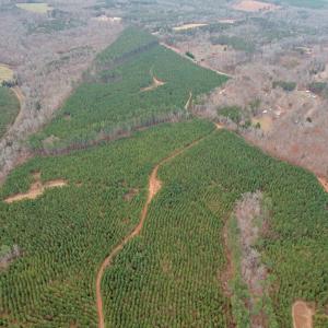 Photo #33 of Perkins Mill Rd, Dillwyn, VA 164.0 acres