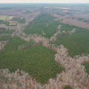 Photo #34 of Perkins Mill Rd, Dillwyn, VA 164.0 acres