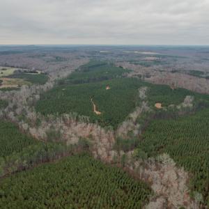 Photo #35 of Perkins Mill Rd, Dillwyn, VA 164.0 acres