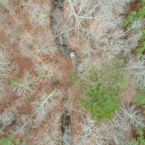 Photo #37 of Perkins Mill Rd, Dillwyn, VA 164.0 acres