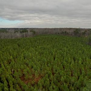 Photo #38 of Perkins Mill Rd, Dillwyn, VA 164.0 acres