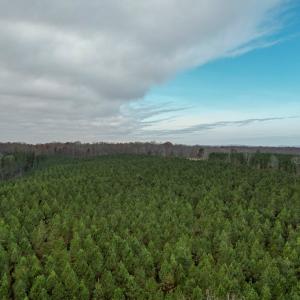 Photo #39 of Perkins Mill Rd, Dillwyn, VA 164.0 acres