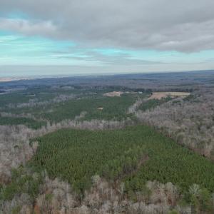 Photo #43 of Perkins Mill Rd, Dillwyn, VA 164.0 acres