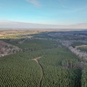 Photo #45 of Perkins Mill Rd, Dillwyn, VA 164.0 acres