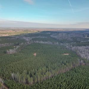 Photo #46 of Perkins Mill Rd, Dillwyn, VA 164.0 acres