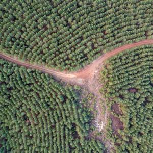 Photo #48 of Perkins Mill Rd, Dillwyn, VA 164.0 acres