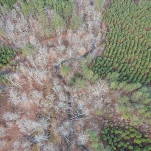 Photo #50 of Perkins Mill Rd, Dillwyn, VA 164.0 acres