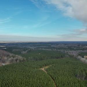 Photo #51 of Perkins Mill Rd, Dillwyn, VA 164.0 acres