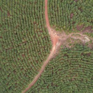 Photo #54 of Perkins Mill Rd, Dillwyn, VA 164.0 acres