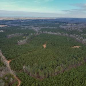 Photo #55 of Perkins Mill Rd, Dillwyn, VA 164.0 acres