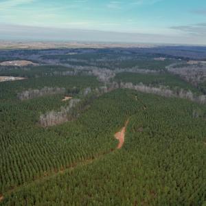 Photo #56 of Perkins Mill Rd, Dillwyn, VA 164.0 acres