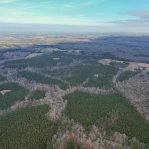 Photo #57 of Perkins Mill Rd, Dillwyn, VA 164.0 acres