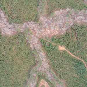 Photo #58 of Perkins Mill Rd, Dillwyn, VA 164.0 acres