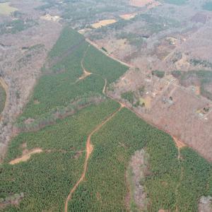 Photo #59 of Perkins Mill Rd, Dillwyn, VA 164.0 acres