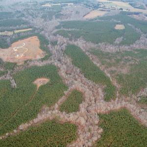 Photo #60 of Perkins Mill Rd, Dillwyn, VA 164.0 acres