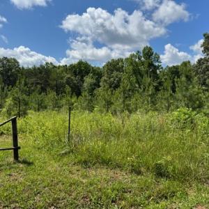 Photo #2 of Mini Ball Lane, Appomattox, VA 69.5 acres