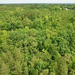 Photo #11 of 642 Grubby Rd, Wilsons, VA 14.4 acres