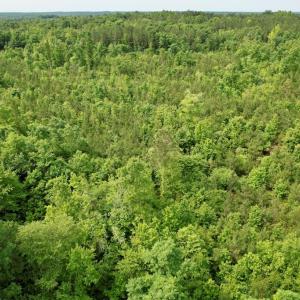 Photo #12 of 642 Grubby Rd, Wilsons, VA 14.4 acres