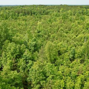 Photo #14 of 642 Grubby Rd, Wilsons, VA 14.4 acres