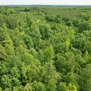 Photo #16 of 642 Grubby Rd, Wilsons, VA 14.4 acres