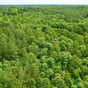 Photo #18 of 642 Grubby Rd, Wilsons, VA 14.4 acres
