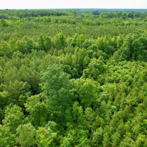Photo #19 of 642 Grubby Rd, Wilsons, VA 14.4 acres