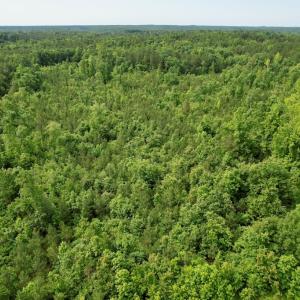 Photo #20 of 642 Grubby Rd, Wilsons, VA 14.4 acres