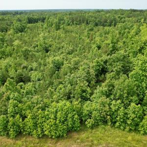 Photo #21 of 642 Grubby Rd, Wilsons, VA 14.4 acres
