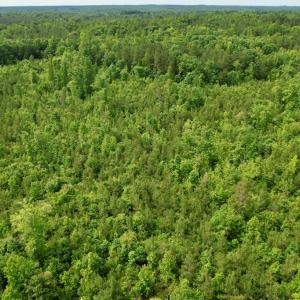 Photo #22 of 642 Grubby Rd, Wilsons, VA 14.4 acres