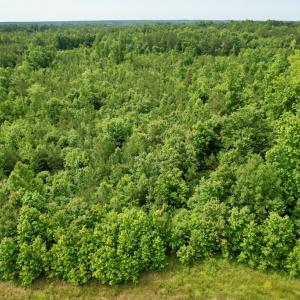 Photo #23 of 642 Grubby Rd, Wilsons, VA 14.4 acres