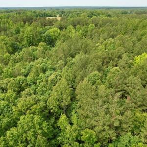 Photo #24 of 642 Grubby Rd, Wilsons, VA 14.4 acres