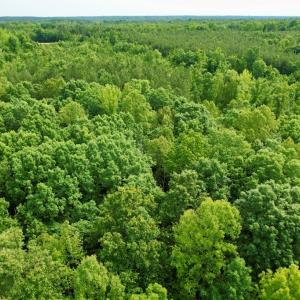 Photo #25 of 642 Grubby Rd, Wilsons, VA 14.4 acres