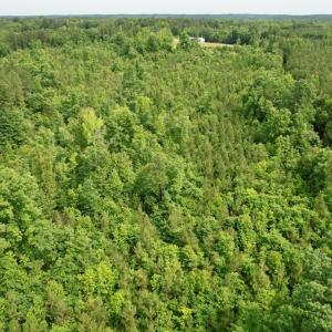 Photo #26 of 642 Grubby Rd, Wilsons, VA 14.4 acres