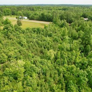 Photo #6 of 642 Grubby Rd, Wilsons, VA 14.4 acres