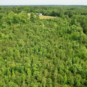 Photo #10 of 642 Grubby Rd, Wilsons, VA 14.4 acres