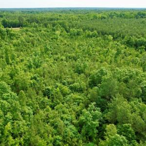 Photo #13 of 642 Grubby Rd, Wilsons, VA 14.4 acres