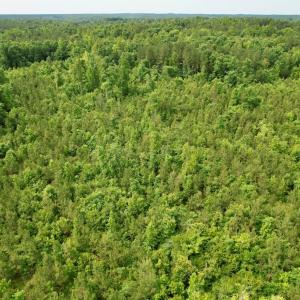 Photo #15 of 642 Grubby Rd, Wilsons, VA 14.4 acres
