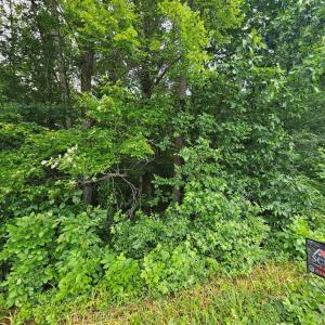 Photo #2 of Riceville Road, Riceville, VA 6.3 acres