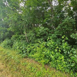Photo #3 of Riceville Road, Riceville, VA 6.3 acres