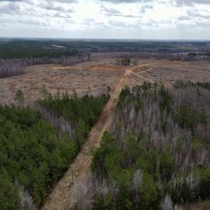 Photo #2 of Off Kennan Dr, Kenbridge, VA 46.6 acres