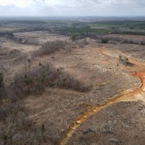Photo #3 of Off Kennan Dr, Kenbridge, VA 46.6 acres