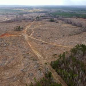Photo #7 of Off Kennan Dr, Kenbridge, VA 46.6 acres