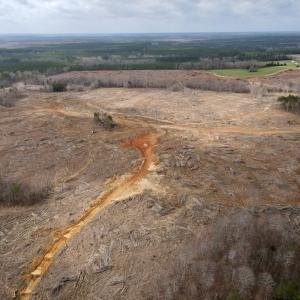 Photo #8 of Off Kennan Dr, Kenbridge, VA 46.6 acres