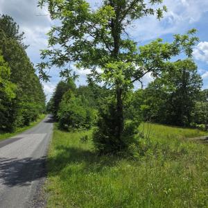 Photo #6 of 1239 Morris Creek Road, Cullen, VA 23.2 acres