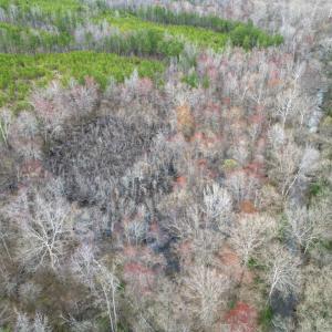 Photo #4 of Patrick Henry Highway, Charlotte Court House, VA 102.0 acres