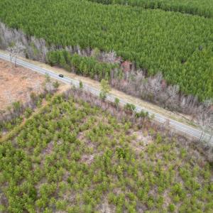 Photo #3 of Patrick Henry Highway, Charlotte Court House, VA 102.0 acres